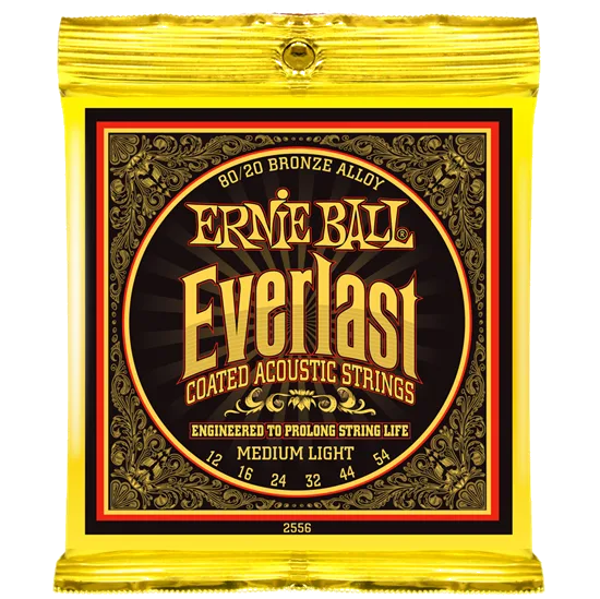 ERNIE BALL P02556