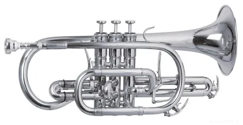 ROY BENSON СR-302S Bb