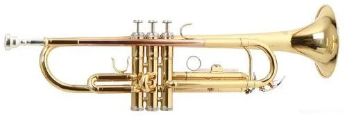 ROY BENSON TR-101 Bb