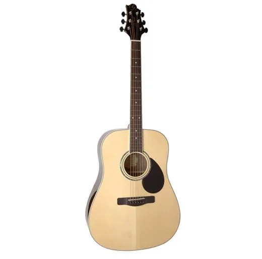 GREG BENNETT GD100RS/N
