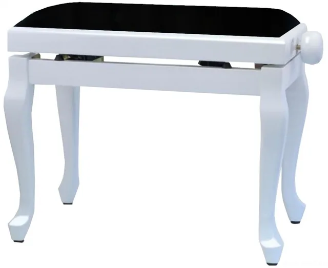 GEWA Deluxe Classic White high gloss Black Cover