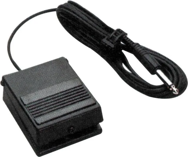 Roland DP-2