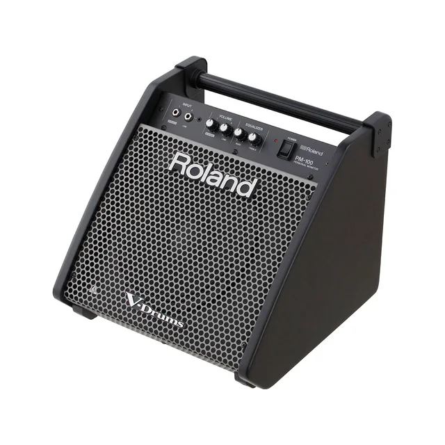 Roland PM-100