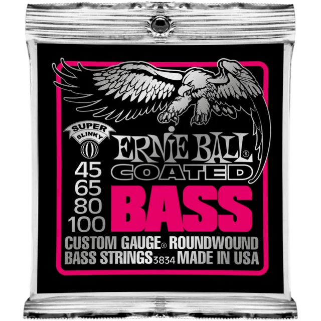 ERNIE BALL P03834