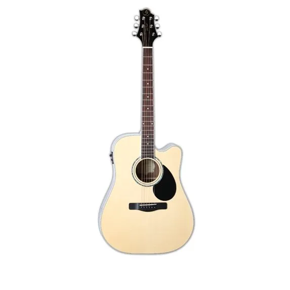 GREG BENNETT GD101SCE/N