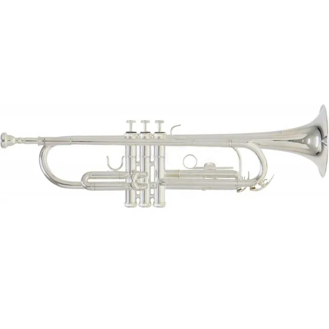 ROY BENSON TR-202S Bb