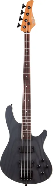 SCHECTER C-4 Standard