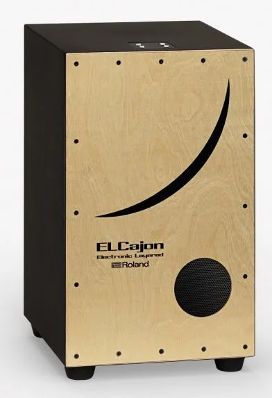Roland EC-10