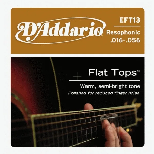 D'ADDARIO EFT13