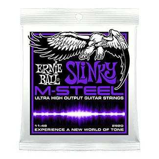 ERNIE BALL P02920