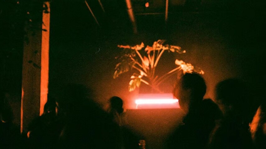 Новый нью‑йоркский клуб запретит телефоны на танцполе