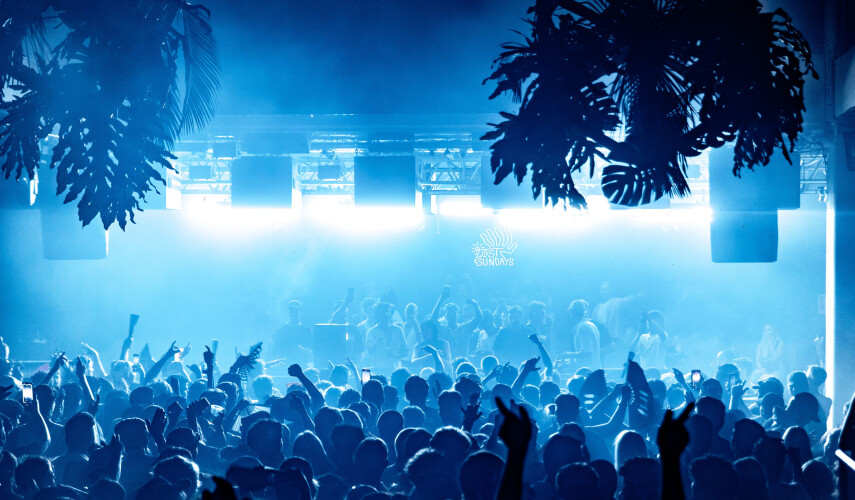 ivy Sydney объявил летнюю программу 2026