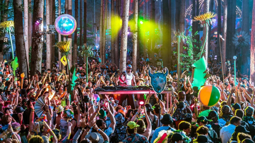 Новорождённый найден мёртвым на Electric Forest — FBI просит помощи