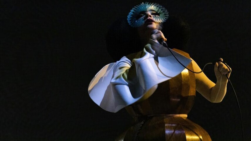 Björk устроит рейв во время полного солнечного затмения в Исландии