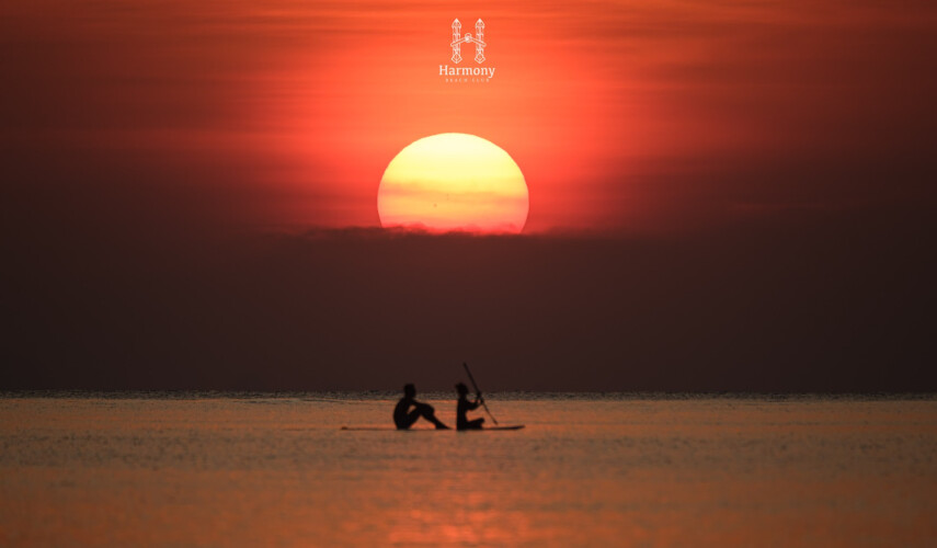 Зимний отдых на Koh Phangan с Halfmoon Festival