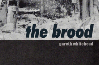Продюсер из Глазго Gareth Whitehead впервые в жизни создал свой собственный альбом.