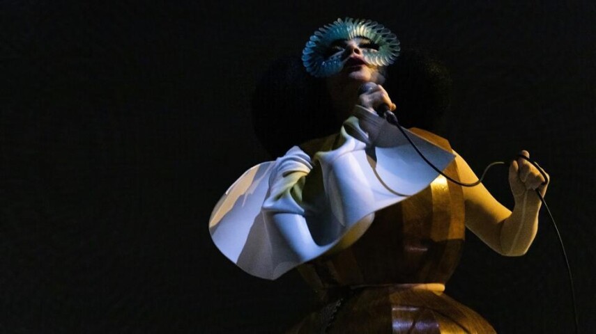 Björk поддержала независимость Гренландии после угроз Аннексии