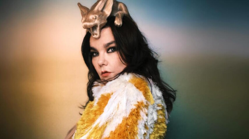 Björk открыла выставку Echolalia в National Gallery of Iceland