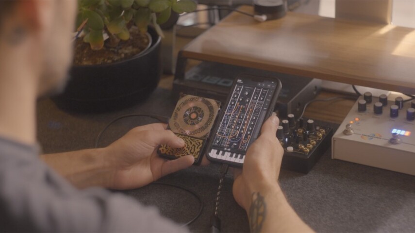 Новый синтезатор превращает растения и грибы в музыку