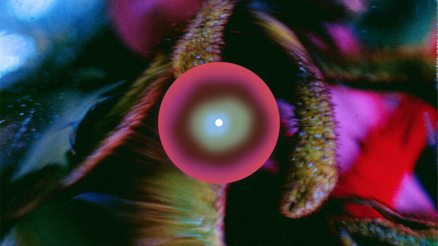 subglow анонсирует сборник 'sub-alchemy'