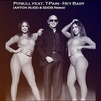 Pitbull feat. T-Pain - Hey Baby (ANTON RUDD & SDOB Remix) (Radio Edit)