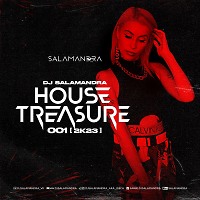 Dj Salamandra - House Treasure 001 (2k23)