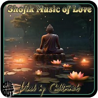 Shofik - Music Of Love_(Mixed By Chilltronick)