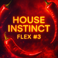 House Instinct #3 - Flex