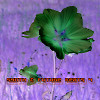 Synth & Future Beats 4