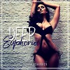 ALEX PUSHKAREV – DEEP EUPHORIA # 8