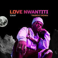 Ckay - Love Nwantiti (TimBeat Remix)