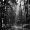 Night Adventure | S2 Ep1 | Electronica Selection