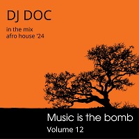 Music is the Bomb volume 12