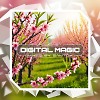 Digital Magic #028