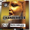 The Cranberries  - Zombie ( Talyk & Veklich cover remix) (cover acapella Julia Westlin )