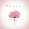 SNEBASTAR - Impulsia Vol.16 (2021)