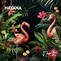 Hayana (Extended Mix)