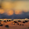al l bo - Meditative Sessions (chillout megamix)