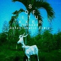 Sofi Tukker - Drinkee (Anton Ishutin Remix)