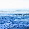 Selection Of Future 001