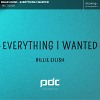 Billie Eilish - Everything I Wanted (PDC Remix)