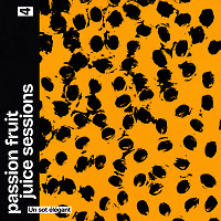 Un sot élégant - Passion Fruit Juice Sessions 4