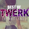 Striversi – Night Style ( Twerk Remix )