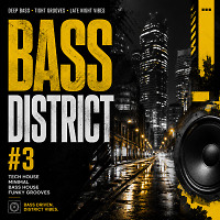 Bass District #3