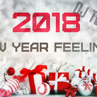 NEW YEAR FEELINGS 2018