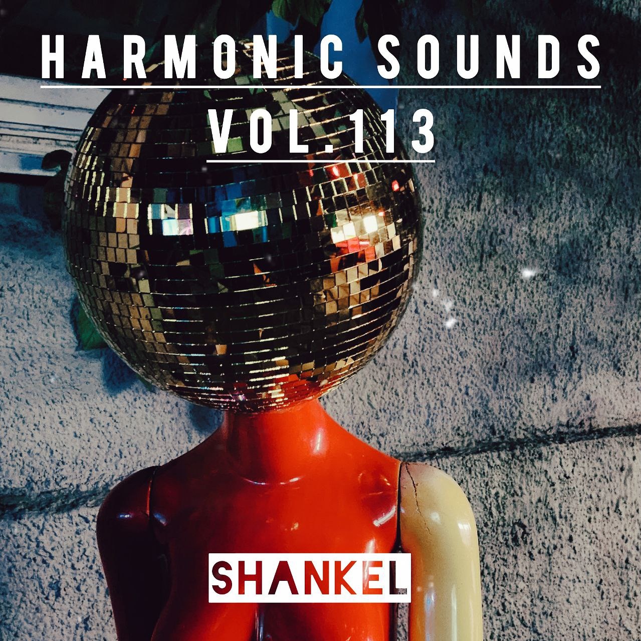 DJ.ru Микс: Shankel — Harmonic Sounds. Vol.113 episode artwork