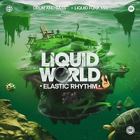 Liquid World - Elastic Rhythm