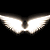 Dj Sacho - Fly and Angel Wings