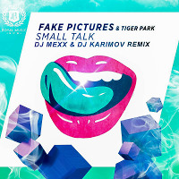 Fake Pictures & Tiger Park - Small Talk (DJ Mexx & DJ Karimov Remix)