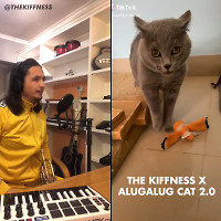 Thekiffness - Alugalug Cat 2.5 (Slava Shelest Mix)